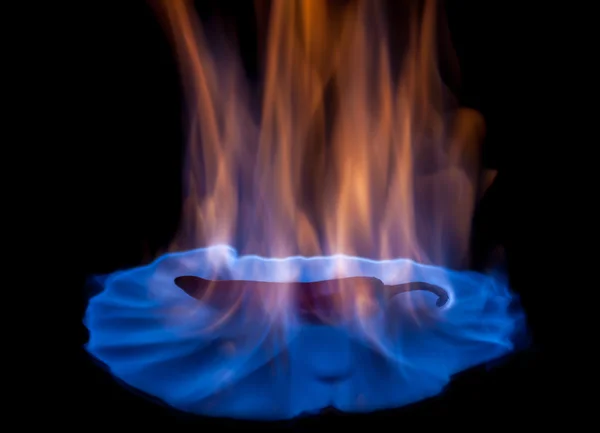 Chili pepper on fire — Stock Photo, Image