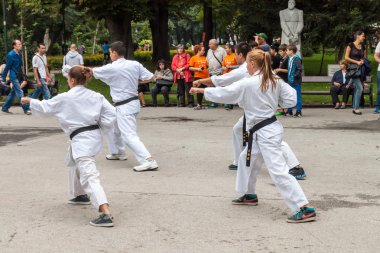 Shotokan karate demonstration