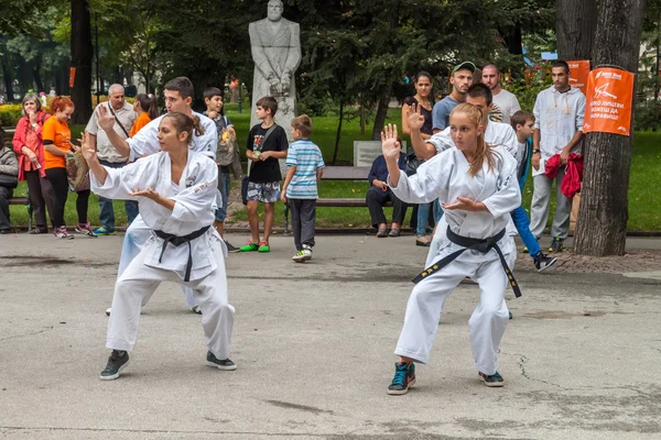 Shotokan karate demonstration — 图库照片