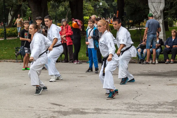 Shotokan karate demonstration — Stock Photo, Image