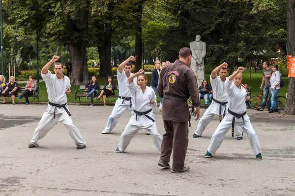 Shotokan karate demonstration — 图库照片