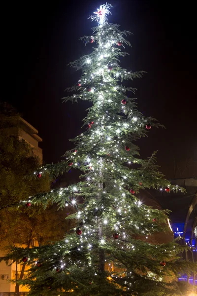 Vánoční stromky bokeh — Stock fotografie