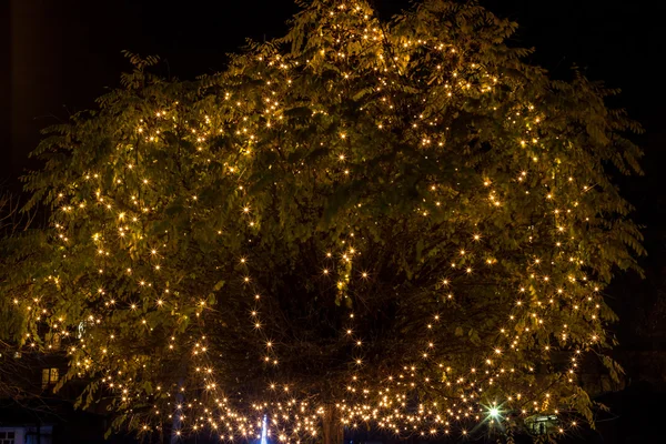 Decorated tree crown — Stock Photo, Image