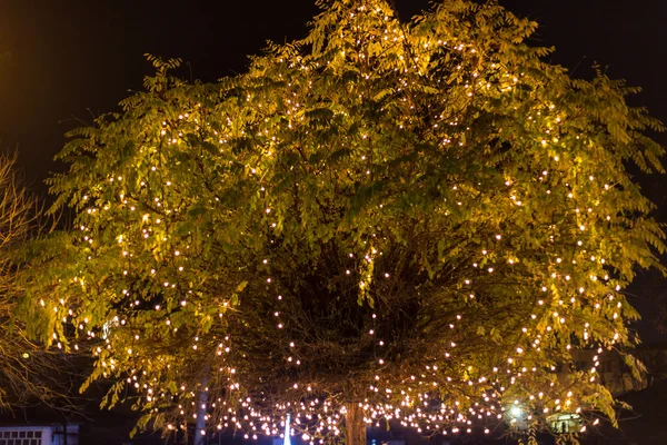 Decorated tree crown — Stock Photo, Image