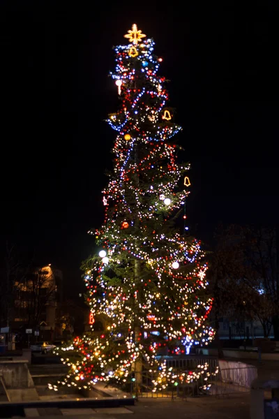 Grand arbre de Noël — Photo