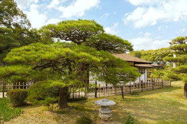 Geleneksel Japon gören Japon Botanik Bahçesi içinde güzel manzarası