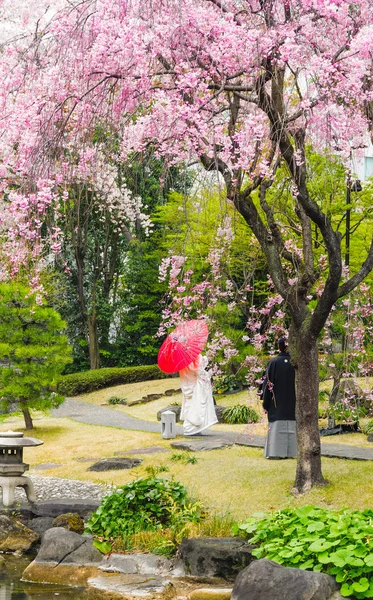 Tokyo parkında Sakura çiçeklerin altında sadece evli Japon çift
