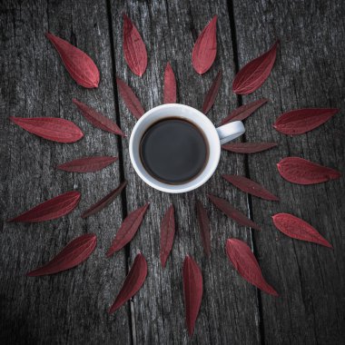 Yeşil yapraklı kahve fincanı düz yerde. Doğal