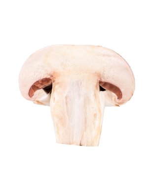Yarım champignon mantar