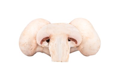 Ham mantar champignon