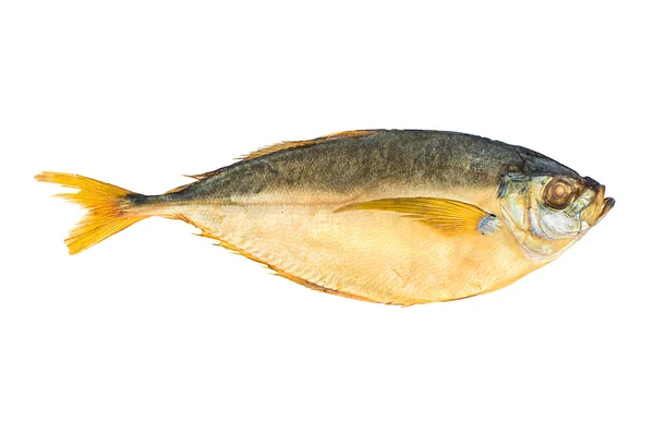 バンパー大西洋魚の燻製 — ストック写真