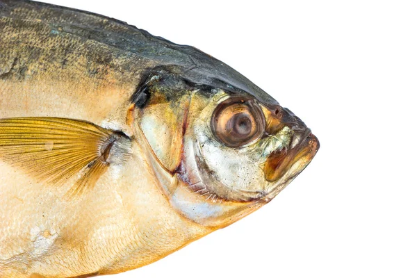 魚の燻製の頭 — ストック写真