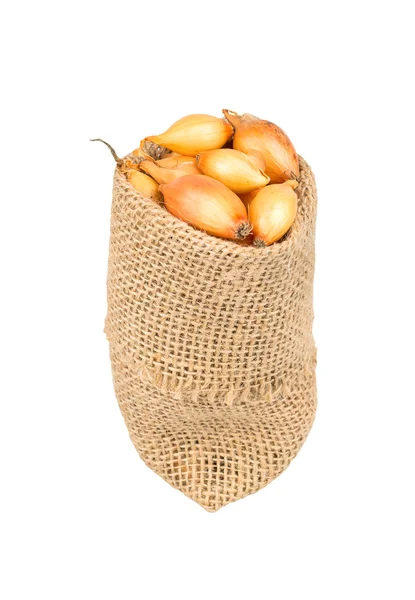 バッグの中のタマネギの種子 — ストック写真