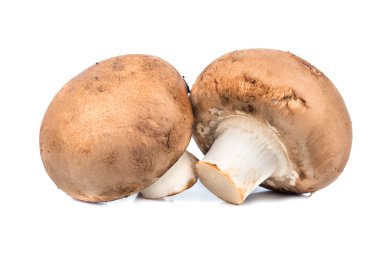 Mantar Kraliyet champignon