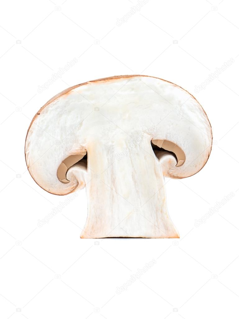 Half Of Champignon Mushroom Stock Photo Image By C Andregric Half Of Champignon Mushroom Stock Photo Image By C Andregric
