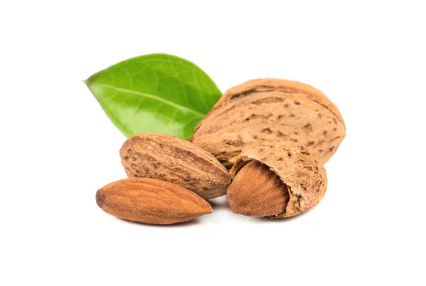 Almond nuts isolated — Stock Photo, Image