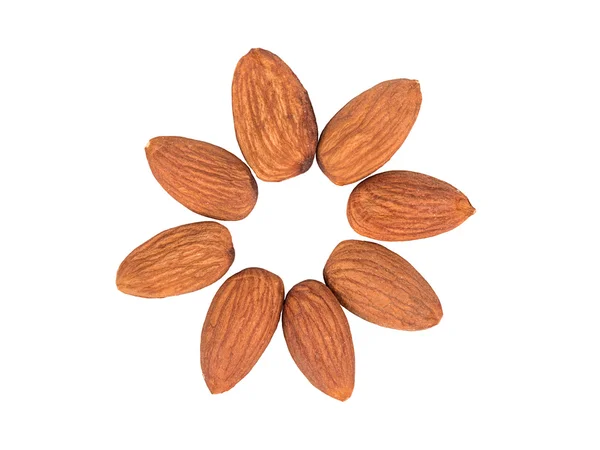 Flower of almond — Stock Photo, Image