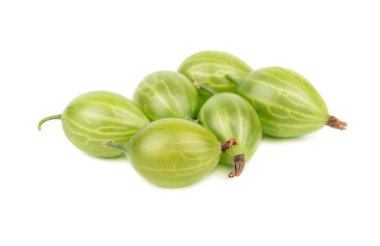 Taze yeşil bektaşi