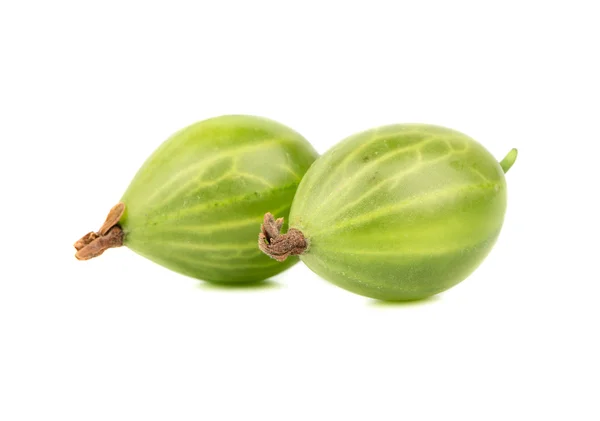 Two green gooseberry — Stock Photo, Image