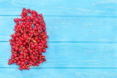 taze kırmızı kuş üzümü 