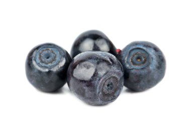 izole taze yaban mersini