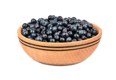 Yaban mersini kasesinde