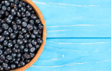 Yaban mersini kasesinde