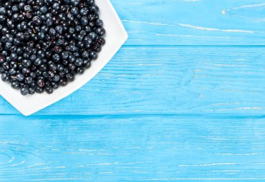 Yaban mersini kasesinde