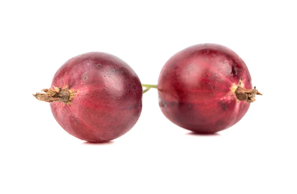 Zwei rote Stachelbeeren — Stockfoto