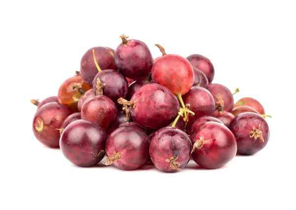 Pile uva spina rossa — Foto Stock