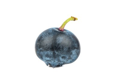 Taze yaban mersini izole