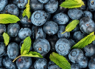 Arka plan taze yaban mersini