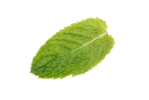 Peppermint Leaf isolates — Stock Photo, Image