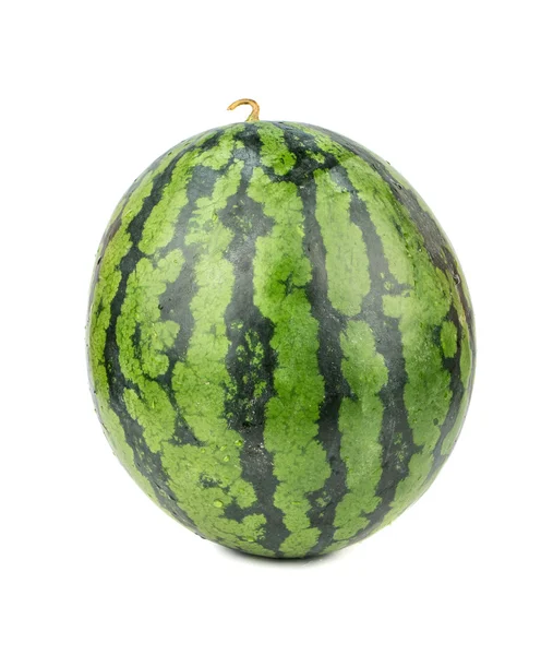 Mogen vattenmelon isolera — Stockfoto