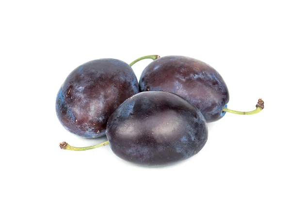 Tre prugne fresche — Foto Stock