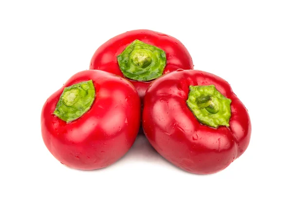 Pimientos rojos pequeños — Foto de Stock