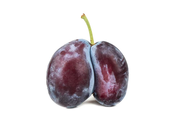 Fresh plums isolate — Stock Photo, Image