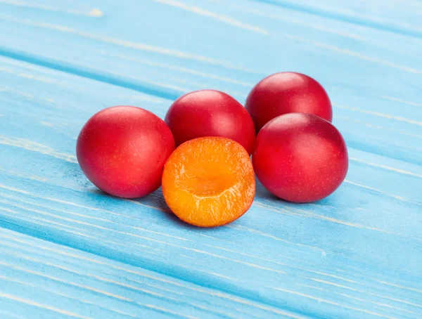Prugna ciliegia rossa — Foto Stock