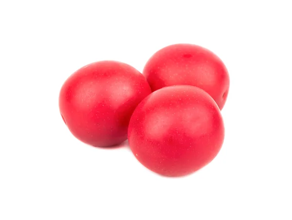 Красная вишневая слива — стоковое фото