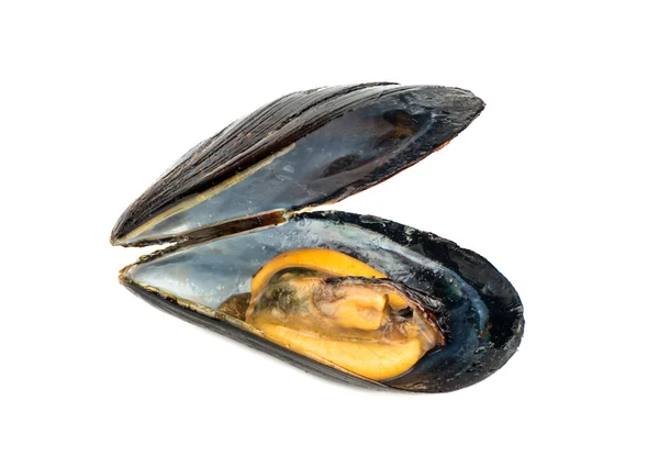 Beredda musslor isolera — Stockfoto