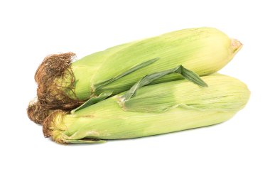 taze mısır koçanı