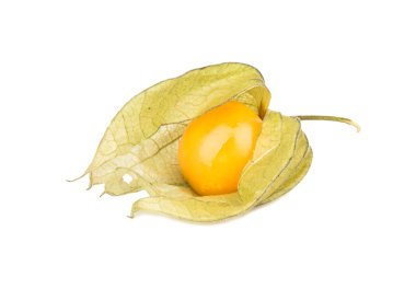 Taze meyve physalis