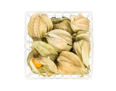 Physalis çilek bir kap içinde