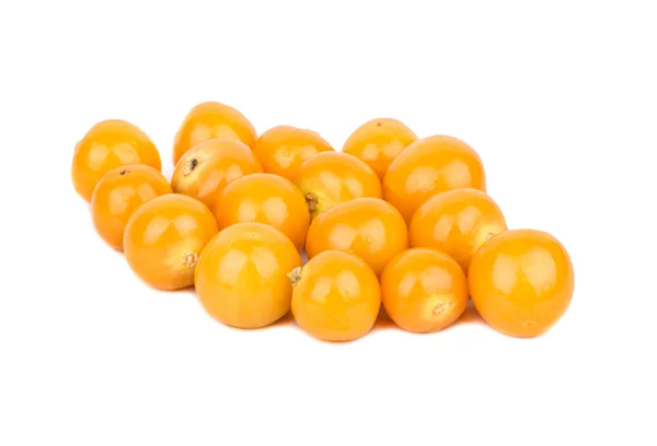 Friss bogyós gyümölcsök Physalis — Stock Fotó