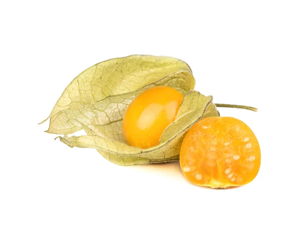 Čerstvé plody physalis — Stock fotografie