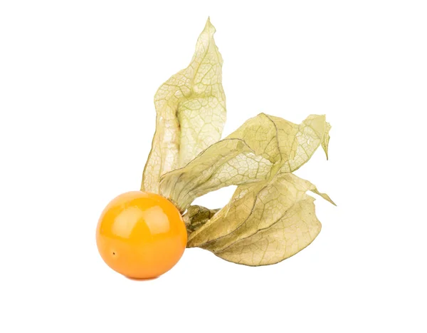 Taze meyve physalis