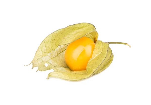 Gyümölcs physalis — Stock Fotó