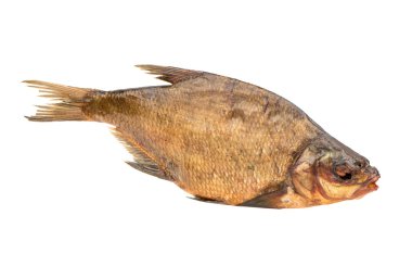 füme balık çipura