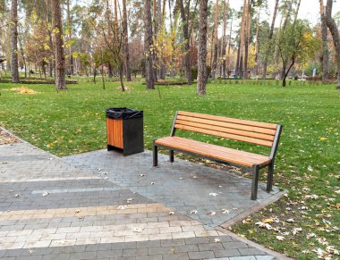 Sonbahar parkında boş ahşap bank