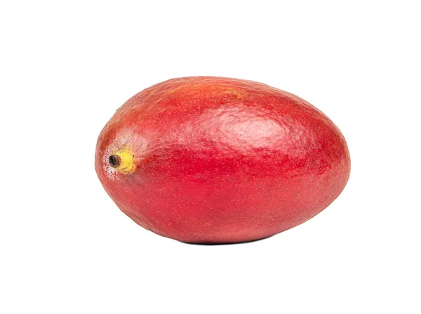 Mogen Röd Mango Frukt Isolerad Vit Bakgrund — Stockfoto